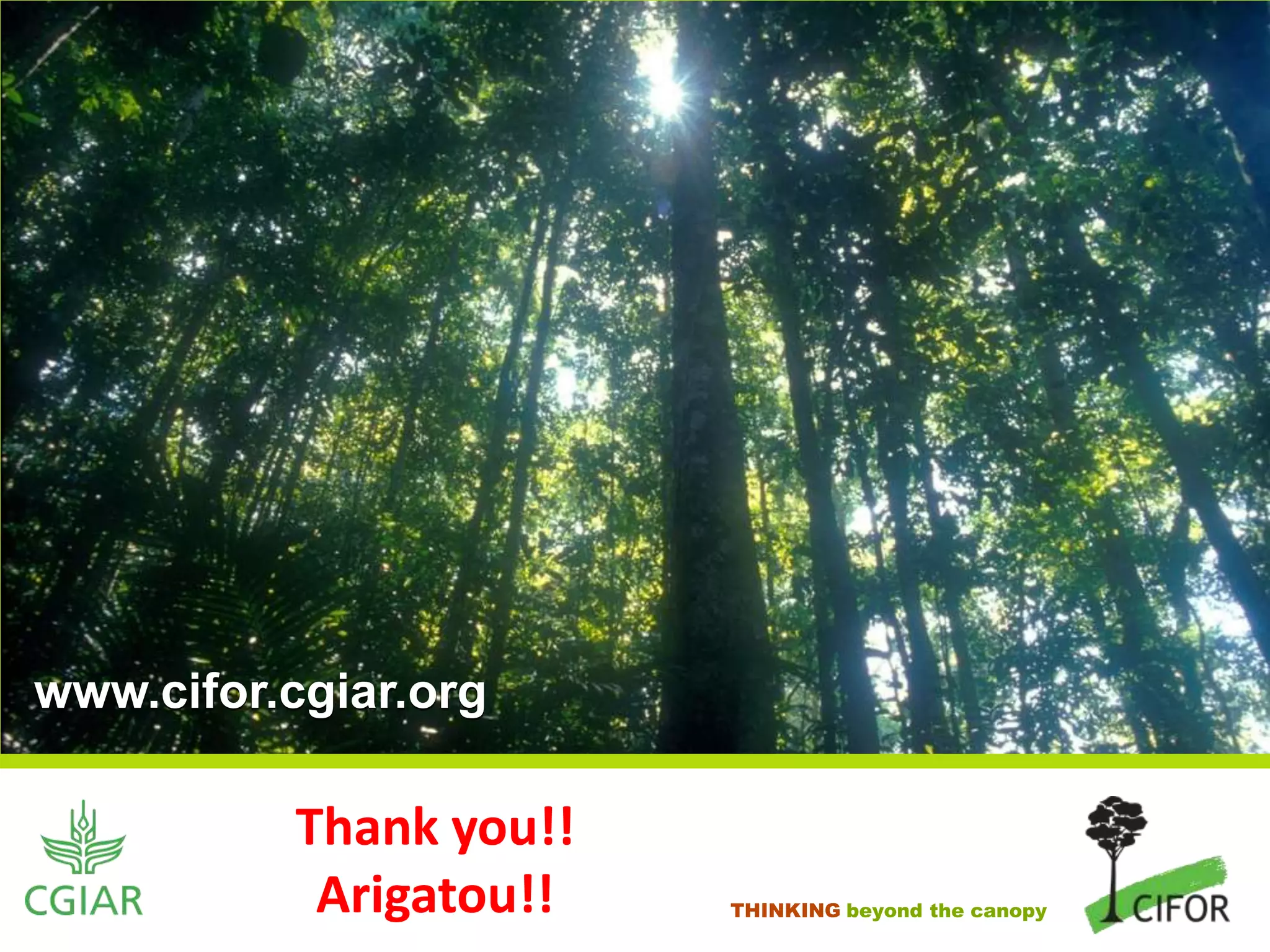 www.cifor.cgiar.org

Thank you!!
Arigatou!!

THINKING beyond the canopy

 