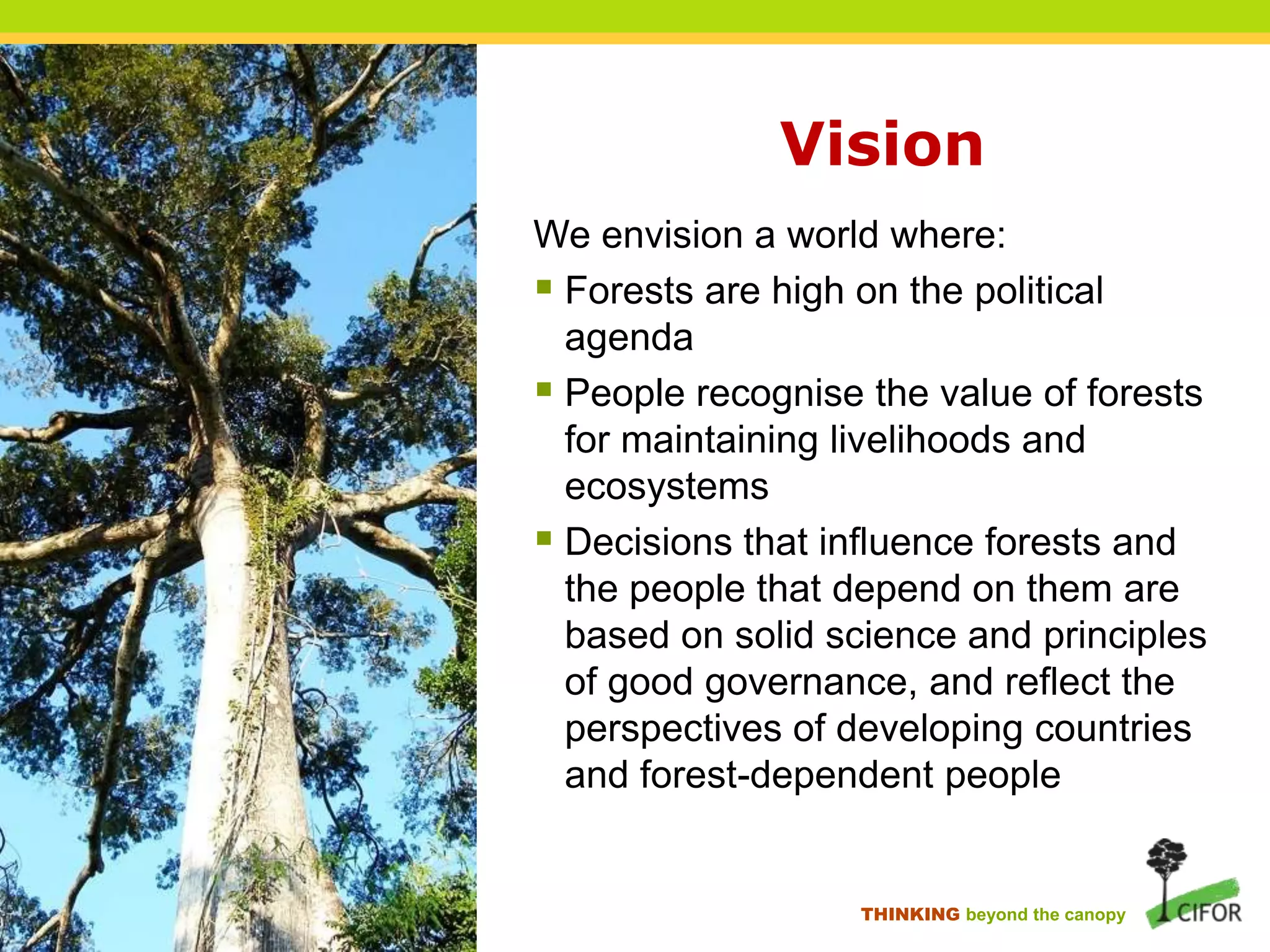 Vision
We envision a world where:
 Forests are high on the political
agenda
 People recognise the value of forests
for maintaining livelihoods and
ecosystems
 Decisions that influence forests and
the people that depend on them are
based on solid science and principles
of good governance, and reflect the
perspectives of developing countries
and forest-dependent people

THINKING beyond the canopy

 