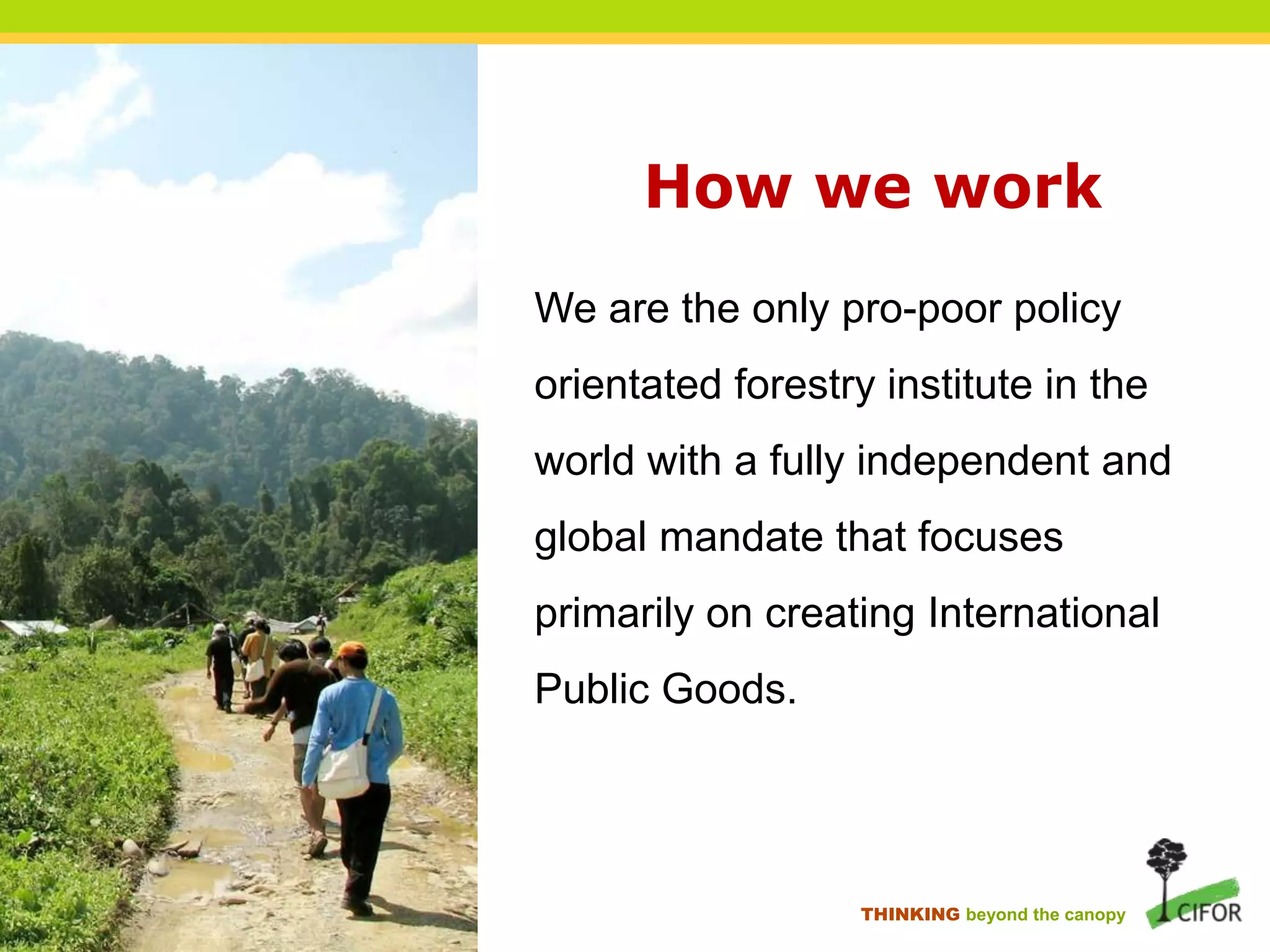 How we work
We are the only pro-poor policy

orientated forestry institute in the
world with a fully independent and
global mandate that focuses

primarily on creating International
Public Goods.

THINKING beyond the canopy

 