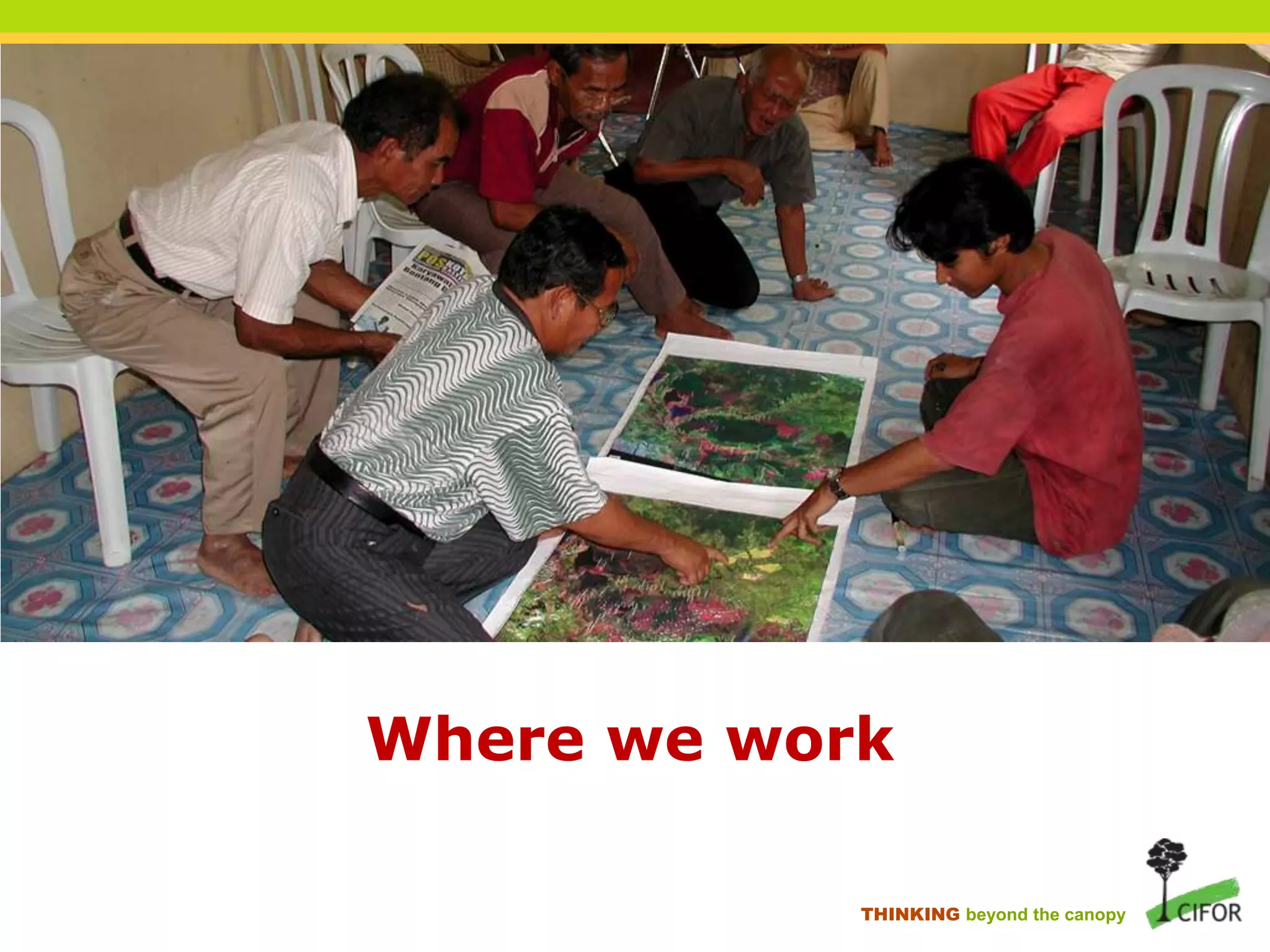 Where we work
THINKING beyond the canopy

 