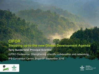 CIFOR
Stepping up to the new Global Development Agenda
Terry Sunderland, Principal Scientist
IUFRO Conference: Strengthening scientific collaboration and networking
IPB Convention Centre, Bogor 8th September 2016
 