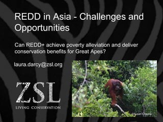 REDD in Asia - Challenges and
Opportunities
Can REDD+ achieve poverty alleviation and deliver
conservation benefits for Great Apes?

laura.darcy@zsl.org




                                              ©Susan Cheyne
 