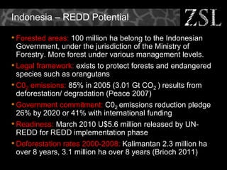REDD in Asia - Challenges and Opportunities
