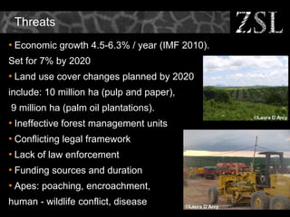 REDD in Asia - Challenges and Opportunities