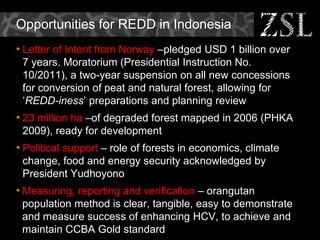 REDD in Asia - Challenges and Opportunities