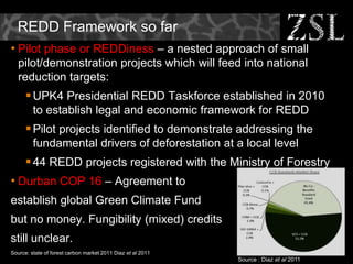 REDD in Asia - Challenges and Opportunities