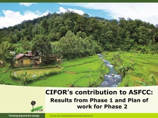CIFOR’s contribution to ASFCC:
Results from Phase 1 and Plan of
work for Phase 2
 