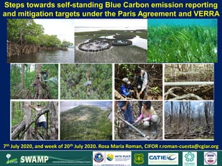 Steps towards self-standing Blue Carbon emission reporting and mitigation targets under the Paris Agreement and VERRA