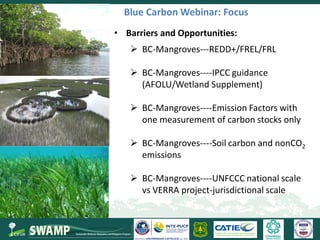 Steps towards self-standing Blue Carbon emission reporting and mitigation targets under the Paris Agreement and VERRA