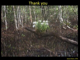Steps towards self-standing Blue Carbon emission reporting and mitigation targets under the Paris Agreement and VERRA