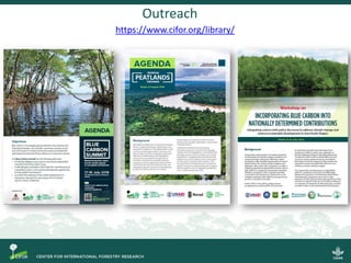 Steps towards self-standing Blue Carbon emission reporting and mitigation targets under the Paris Agreement and VERRA