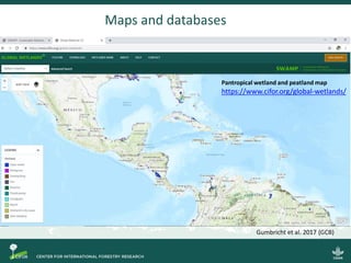 Steps towards self-standing Blue Carbon emission reporting and mitigation targets under the Paris Agreement and VERRA