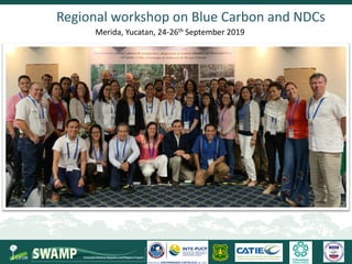 Steps towards self-standing Blue Carbon emission reporting and mitigation targets under the Paris Agreement and VERRA