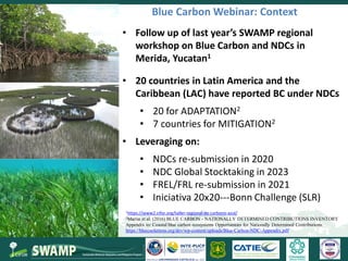 Steps towards self-standing Blue Carbon emission reporting and mitigation targets under the Paris Agreement and VERRA