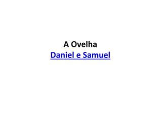 A Ovelha
Daniel e Samuel
 
