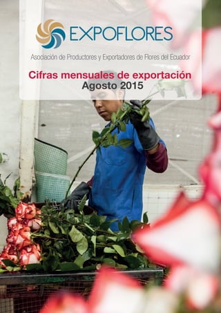 Cifras mensuales de exportación
Asociación de Productores y Exportadores de Flores del Ecuador
Agosto 2015
 