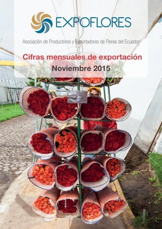 Cifras mensuales de exportación
Asociación de Productores y Exportadores de Flores del Ecuador
Noviembre 2015
 