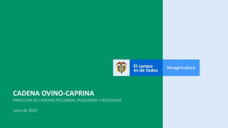 CADENA OVINO-CAPRINA
DIRECCION DE CADENAS PECUARIAS, PESQUERAS Y ACUICOLAS
Junio de 2020
 