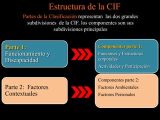 Cif taxonomías y lenguaje común | PPTX