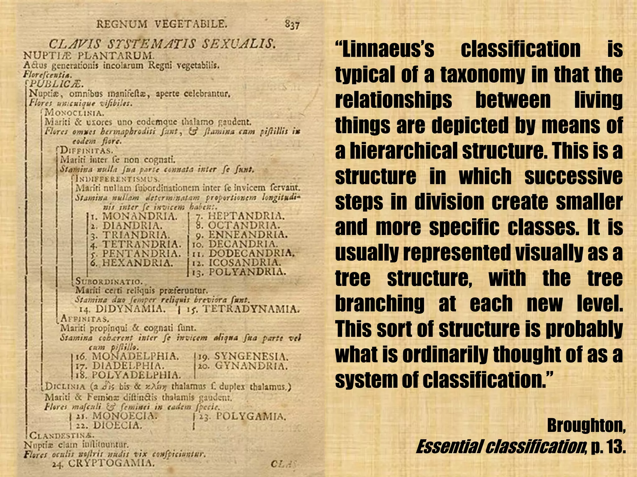 “Linnaeus’s classification is
typical of a taxonomy in that the
relationships between living
things are depicted by means of
a hierarchical structure. This is a
structure in which successive
steps in division create smaller
and more specific classes. It is
usually represented visually as a
tree structure, with the tree
branching at each new level.
This sort of structure is probably
what is ordinarily thought of as a
system of classification.”

                            Broughton,
         Essential classification, p. 13.
 
