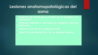 Lesiones anatomopatológicas del
asma
 Fragilidad del epitelio que se traduce por su tendencia a la
descamación.
 Infiltrado inflamatorio constituido por eosinófilos, linfocitos,
mastocitos.
 Aumento de grosor de la membrana basal
 Hipertrofia del músculo liso y de las glándulas mucosas.
 