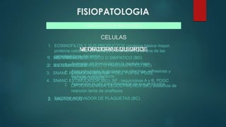 FISIOPATOLOGIA
• INFLAMACION BRONQUIAL
CELULAS
1. EOSINOFILOS Y SUS PRODUCTOS (proteína básica mayor,
proteína catiónica, peroxidasa y neurotoxina) es una de las
características del asma
• Aumento de formación en la medula ósea
• Atracción hacia la mucosa por citocinas, adhesinas y
factores quimiotacticos
• Activación in situ para liberación de sus productos
2. MASTOCITOS
MEDIADORES QUIMICOS
1. HISTAMINA (BC)
2. EICOSANOIDES
• CICLOOXIGENASA: PGE2, PGF2a, PGD2,
TROMBOXANOS
• LIPOOXIGENASA: LEUCOTRIENOS (BC) sustancia de
reacción lenta de anafilaxia
3. FACTOR ACTIVADOR DE PLAQUETAS (BC)
NEUROTRANSMISORES
1. SISTEMA ADRENERGICO O SIMPATICO (BD)
2. SISTEMA COLINERGICO O PARASIMPATICO (BC)
3. SNANC INHIBIDOR (BD): VIP
4. SNANC ESTIMULADOR (BC): SP , taquicininas A y B, PDGC
 