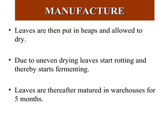 MANUFACTUREMANUFACTURE
• Leaves are then put in heaps and allowed to
dry.
• Due to uneven drying leaves start rotting and
thereby starts fermenting.
• Leaves are thereafter matured in warehouses for
5 months.
 