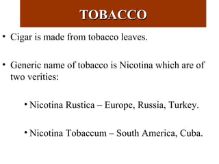TOBACCOTOBACCO
• Cigar is made from tobacco leaves.
• Generic name of tobacco is Nicotina which are of
two verities:
• Nicotina Rustica – Europe, Russia, Turkey.
• Nicotina Tobaccum – South America, Cuba.
 