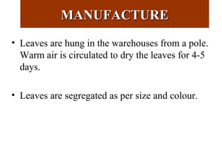 MANUFACTUREMANUFACTURE
• Leaves are hung in the warehouses from a pole.
Warm air is circulated to dry the leaves for 4-5
days.
• Leaves are segregated as per size and colour.
 