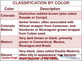 Cigar | PDF