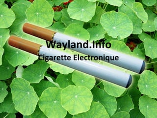Wayland.Info Cigarette Electronique 