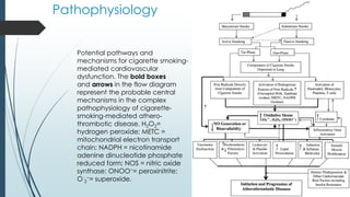 Pathophysiology
Potential pathways and
mechanisms for cigarette smoking-
mediated cardiovascular
dysfunction. The bold boxes
and arrows in the flow diagram
represent the probable central
mechanisms in the complex
pathophysiology of cigarette-
smoking-mediated athero-
thrombotic disease. H2O2=
hydrogen peroxide; METC =
mitochondrial electron transport
chain; NADPH = nicotinamide
adenine dinucleotide phosphate
reduced form; NOS = nitric oxide
synthase; ONOO−= peroxinitrite;
O·
2
−= superoxide.
 