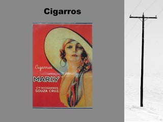 Cigarros 
