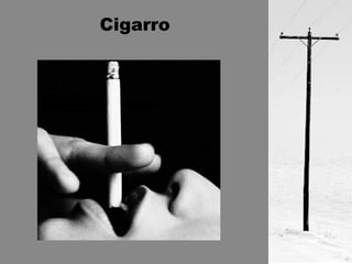 Cigarro 
 