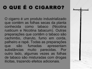 O QUE É O CIGARRO? 
O cigarro é um produto industrializado 
que contém as folhas secas da planta 
conhecida como tabaco (Nicotina 
rusticum e Nicotina tabacum). Outras 
preparações que contêm o tabaco são 
cachimbo, charuto, fumo em corda, 
palheiro e rapé. Todas as preparações 
que são fumadas apresentam 
substâncias muito parecidas. Por 
outro lado, algumas vezes as folhas 
de tabaco são misturadas com drogas 
ilícitas, trazendo efeitos adicionais. 
 
