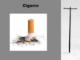 Cigarro 
 