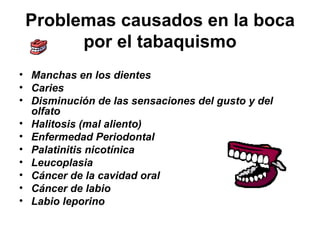 Problemas causados en la boca por el tabaquismo Manchas en los dientes   Caries   Disminución de las sensaciones del gusto y del olfato   Halitosis (mal aliento)  Enfermedad Periodontal   Palatinitis nicotínica   Leucoplasia   Cáncer de la cavidad oral   Cáncer de labio   Labio leporino   