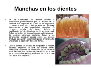 Manchas en los dientes En los fumadores  los dientes tienden a mancharse gradualmente por la acción de la nicotina y el alquitrán. El humo de los cigarrillos  contiene sustancias químicas que se adhieren fuertemente a las superficies dentales. El consumo regular de tabaco induce a modificaciones significativas en la mucosa oral. Estas consisten en la aparición de coloraciones y de lesiones diversas, pudiendo llegar a los carcinomas orales.El tabaco sobre los dientes produce coloración superficial (pardo amarronado) y favorece la aparición de sarro dental.  Con el tiempo las encías se empiezan a retraer, dejando expuesta la raíz del diente. Dicha retracción ocasiona la formación de un espacio entre la superficie del diente y la encía, en el que se acumulan bacterias y residuos de comida que dan lugar a la gingivitis  
