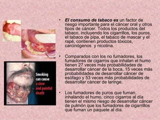 El consumo de tabaco es  un factor de riesgo importante para el cáncer oral y otros tipos de cáncer. Todos los productos del tabaco, incluyendo los cigarrillos, los puros, el tabaco de pipa, el tabaco de mascar y el rapé, contienen productos tóxicos, carcinógenos  y nicotina.  Comparados con los no fumadores, los fumadores de cigarros que inhalan el humo tienen 27 veces más probabilidades de desarrollar cáncer de la boca, 15 veces más probabilidades de desarrollar cáncer de esófago y 53 veces más probabilidades de desarrollar cáncer de laringe. Los fumadores de puros que fuman, inhalando el humo, cinco cigarros al día tienen el mismo riesgo de desarrollar cáncer de pulmón que los fumadores de cigarrillos que fuman un paquete al día.     