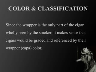 COLOR & CLASSIFICATION
Since the wrapper is the only part of the cigar
wholly seen by the smoker, it makes sense that
cigars would be graded and referenced by their
wrapper (capa) color.
 
