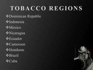TOBACCO REGIONS
Dominican Republic
Indonesia
Mexico
Nicaragua
Ecuador
Cameroon
Honduras
Brazil
Cuba
 