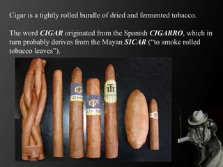 Cigar is a tightly rolled bundle of dried and fermented tobacco.
The word CIGAR originated from the Spanish CIGARRO, which in
turn probably derives from the Mayan SICAR (“to smoke rolled
tobacco leaves”).
 
