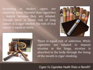 According to studies, cigars are
relatively lesser harmful than cigarettes
– mainly because they are inhaled.
Though there is lesser risk of lung
cancer in a cigar smoker, the risk of oral
cancer is equal or more.
There is equal risk of addiction. While
cigarettes are inhaled to deposit
nicotine in the lungs, nicotine is
absorbed in the body through the lining
of the mouth in cigar smoking.
Cigars Vs Cigarettes Health Risks or Benefit?
 