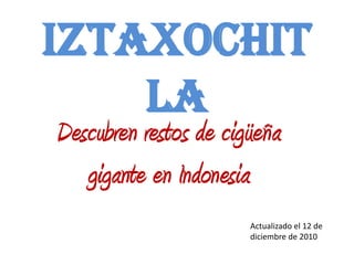 Iztaxochit
    la
Descubren restos de cigüeña
   gigante en Indonesia
                       Actualizado el 12 de
                       diciembre de 2010
 