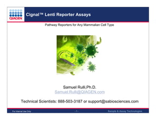 Cignal™ Lenti Reporter Assays
Pathway Reporters for Any Mammalian Cell Type

.

Samuel Rulli,Ph.D.
Samuel.Rulli@QIAGEN.com
Technical Scientists: 888-503-3187 or support@sabiosciences.com
For Internal Use Only

-1-

Sample & Assay Technologies

 