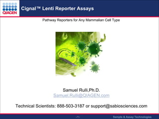 Cignal™ Lenti Reporter Assays
.

Pathway Reporters for Any Mammalian Cell Type

Samuel Rulli,Ph.D.
Samuel.Rulli@QIAGEN.com
Technical Scientists: 888-503-3187 or support@sabiosciences.com
-1-

Sample & Assay Technologies

 