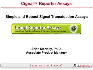 Cignal™ Reporter Assays
Simple and Robust Signal Transduction Assays

Brian McNally, Ph.D.
Associate Product Manager

1

 