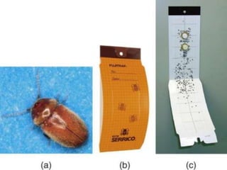 can you light a cigarette on an electric stove an induction can light up a cigarette : r/notinteresting