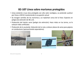 B2‐107 Línea sobre marismas protegidas
                B2 107 Línea sobre marismas protegidas
• Línea existente cruza área protegida con alto valor ecológico, se pretende sustituir
  por línea a 220 kV manteniendo la ocupación actual
• Se recogen semillas de las marismas y se replantan cerca de la línea: Especies en
  peligro de extinción de 40 a 23.
• Protección del halcón sacre (peligro de extinción): Hace nidos en las torres, se le
  colocan nidos artificiales
• Protección de la avutarda: Selección de la ruta y colocar placas de aviso para pájaros
  en conductores (aprovechando separadores)




Dirección Corporativa                      8
 