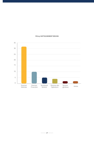 FIG 23. RATTACHEMENT DES DSI
48
 